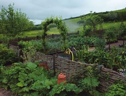 01_arne_maynard_garden
Edible Garden Pictures
Arne Maynard
London, England