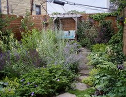 Small Garden Pictures
Alexandra Abuza
Brooklyn, NY