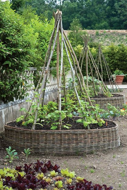 Arbors
Edible Garden Pictures
Garden Design
Calimesa, CA