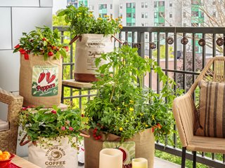 CONTAINER VEGETABLE GARDEN