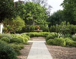 Landscape Design Pictures
Barbara Schnitzler
New York, NY