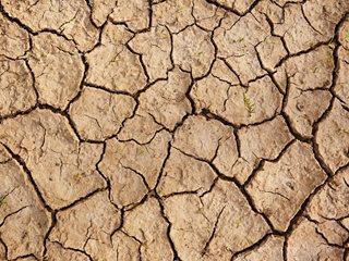 Dry Clay Soil, Clay Soil
"Dream Team's" Portland Garden
Shutterstock.com
New York, NY