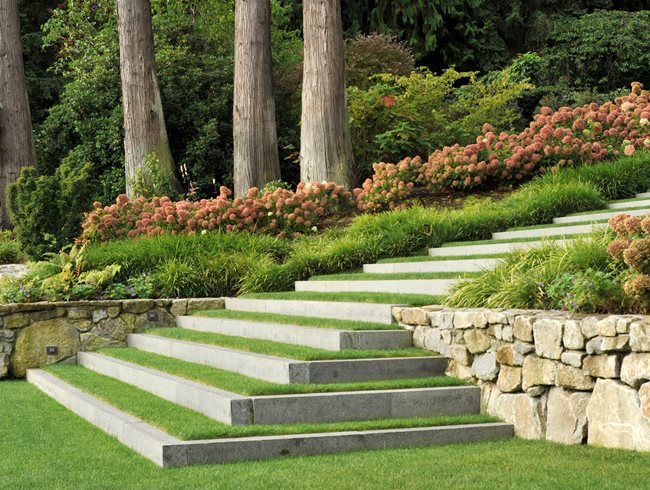 Dwarf Shrubs
Hoerr Schaudt Garden in Chicago's Lincoln Park
Land Morphology
Seattle, WA