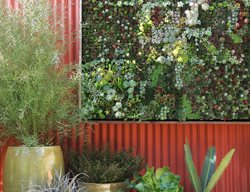 Container Garden Pictures
Flora Grubb Gardens
San Francisco, CA