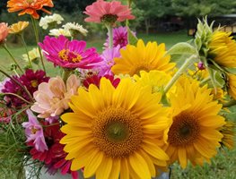 Fresh Cut Flowers, Garden Flowers
Shutterstock.com
New York, NY