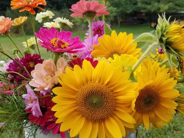 Fresh Cut Flowers, Garden Flowers
Shutterstock.com
New York, NY