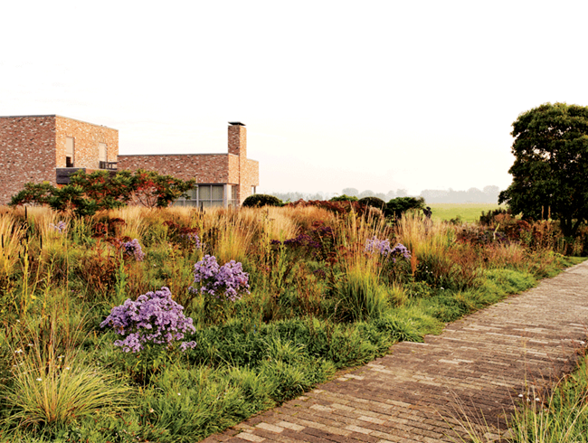 "Dream Team's" Portland Garden
Garden Design
Calimesa, CA