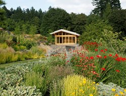 Landscape Design Pictures
Garden Diva Designs
Hillsboro, OR