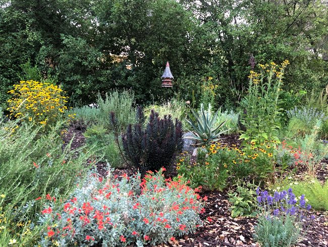 Garden With Perennials And Bird House
Garden Design
Calimesa, CA