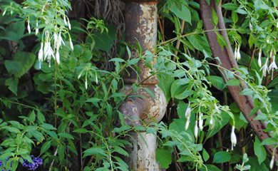 hand water pump in garden