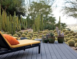 Landscape Design Pictures
Lari Pittman (Homeowner)
Los Angeles, CA