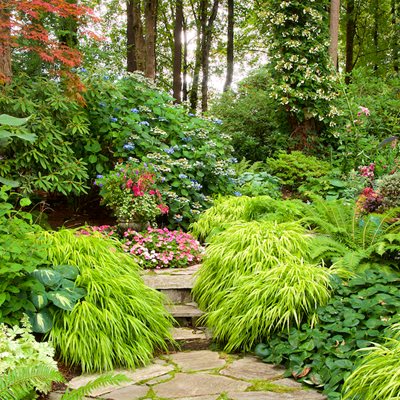 Layered Shade Garden, Shade Garden With Impatiens
"Dream Team's" Portland Garden
Garden Design
Calimesa, CA