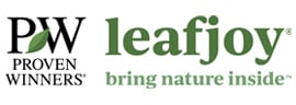 Leadjoy - Bringing Nature Inside