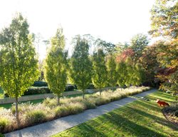 Landscape Design Pictures
Lisa Roth - Landscape Architect
Devon, PA