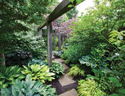 Shade Garden Pictures
Marjorie Harris Designs
Toronto, ON