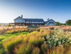 Meadow Landscape, Eco-Friendly Landscape
Award-Winning Gardens
Donald Pell Landscape Design
Phoenixville, PA