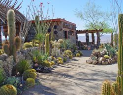 Succulent and Cacti Pictures
Mojave Rock Ranch
Joshua Tree, CA