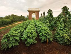 Edible Garden Pictures
Monticello
Charlottesville, VA