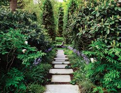 Landscape Design Pictures
Morgan Wheelock Incorporated
Cambridge, MA