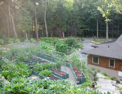 Edible Garden Pictures
Nancy Hallberg (Homeowner)
Waccabuc, NY