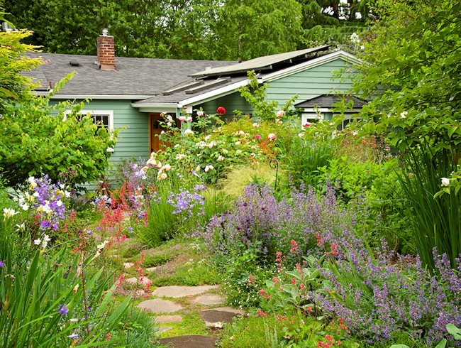 Native Meadow Garden
Garden Design
Calimesa, CA