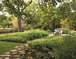 Landscape Design Pictures
Oehme, van Sweden & Associates, Inc.
Washington, DC