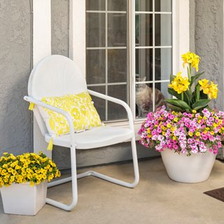 Pink And Yellow Flowering Pots
Proven Winners
Sycamore, IL