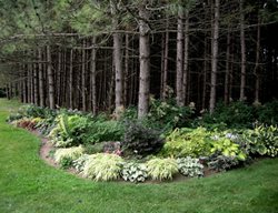 Shade Garden Pictures
Plant Paradise Country Gardens
Caledon, ON