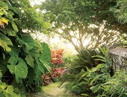 Landscape Design Pictures
Raymond Jungles, Inc.
Miami, FL