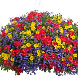 RED YELLOW BLUE HANGING BASKET