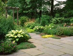 Shade Garden Pictures
Salsbury-Schweyer, Inc
Akron, OH