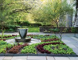 Seven Types Of Lettuce
Edible Garden Pictures
Chanticleer
Wayne, PA