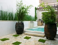 Container Garden Pictures
Troy Rhone Garden Design
Mountain Brook, AL